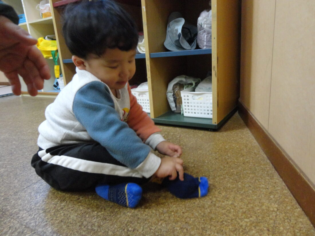 保護中: 寒くても元気いっぱい！ひよこ組